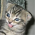 :iconbigmd: