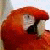 :iconbigronnyv: