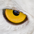 :iconbigsolrac: