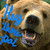 :iconbigursa: