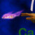 :iconbigweel7: