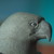 :iconbildhauerwg: