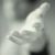 :iconbildirici: