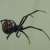 :iconbill314159: