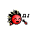 :iconbillkplz: