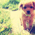 :iconbilma99: