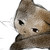 :iconbimmpiek: