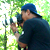 :iconbimo9200: