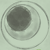 :iconbin-3amr: