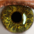 :iconbinaryretina: