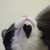 :iconbinatangs: