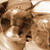 :iconbindweed: