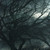 bingbing196 :iconbingbing196: