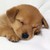 bingemaster :iconbingemaster: