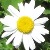 :iconbinker-and-summer: