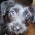 :iconbinkley01: