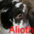 :iconbinkybunny: