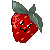 :iconBinkyfm: