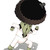 :iconbiodragon: