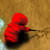 :iconbiomaschine: