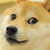 :iconbionicpanther88:
