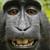 :iconbiopablo: