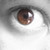 :iconbioratkin: