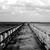 :iconbiortist: