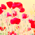 :iconbiotoxic-sushi: