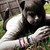 :iconbipolarelephant: