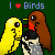 :iconbird-lover: