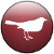 :iconbirdbyte: