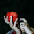 :iconbirdcherryerica: