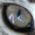 :iconbirdewilliams: