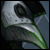 :iconbirdfaceddoctor:
