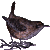 :iconbirdladyclark: