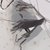 :iconbirdofbronze: