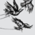 :iconbirds-and-such:
