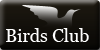 :iconbirds-club: