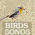 :iconbirds-songs: