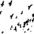:iconbirdsandpoetry: