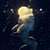 Birdy14 :iconbirdy14: