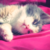 :iconbirdyrose: