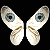 :iconbirket: