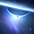 :iconbirkin-star: