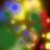 :iconbirthofastar: