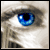 :iconbirthofdawn: