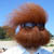 :iconbiscuit590: