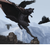 :iconbishop19: