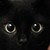 :iconbishouyume: